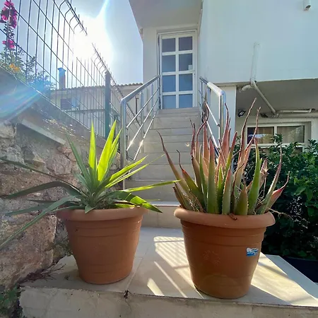 Holiday home Ninos Sea View Cesme